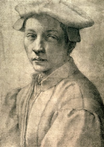 Retrato de Andrea Quaratesi, c.1532 (giz preto sobre papel) de Michelangelo Buonarroti